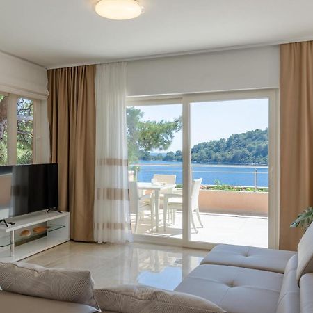 Pine Tree Apartment Zanetic Blato  Exteriér fotografie