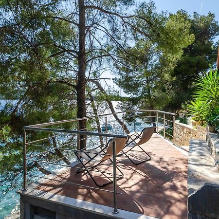 Pine Tree Apartment Zanetic Blato  Exteriér fotografie