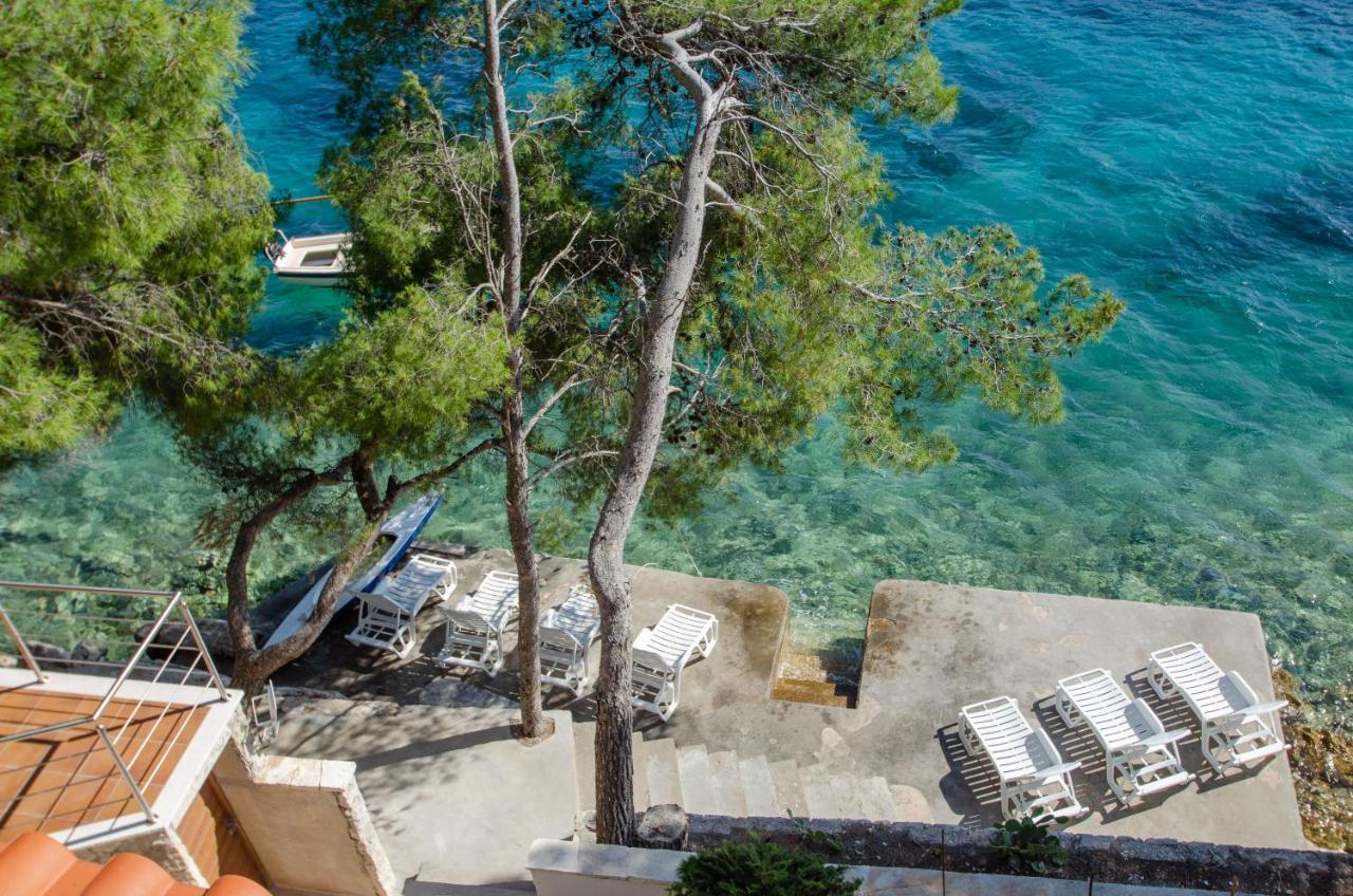 Pine Tree Apartment Zanetic Blato  Exteriér fotografie